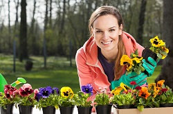 Reliable Landscapers across Finsbury Park, N19